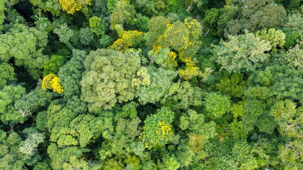 Télécharger une vidéo youtube sans logiciel : les meilleures astuces