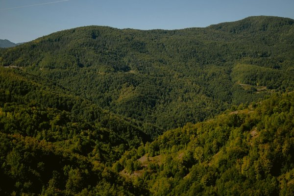 Guide Pratique pour Créer un Atelier Inoubliable de Fabrication de Chapeaux de Carnaval