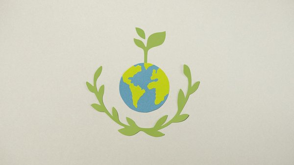 Découvrez si votre véhicule a une chaîne ou une courroie de distribution